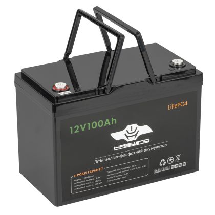 Літій-ферумний акумулятор Haswing LIFEPO4 12V100Ah FT12100 по лучшей цене - 9353 грн