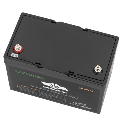 Літій-ферумний акумулятор Haswing LIFEPO4 12V100Ah FT12100 по лучшей цене - 9353 грн
